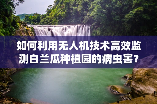 如何利用无人机技术高效监测白兰瓜种植园的病虫害？