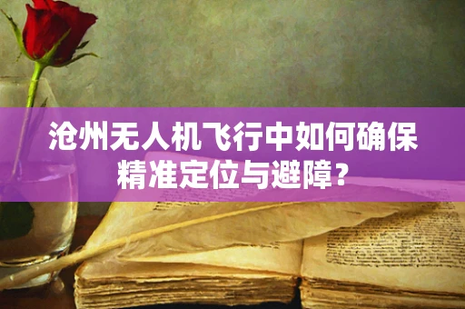 沧州无人机飞行中如何确保精准定位与避障？