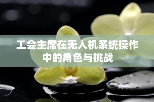 工会主席在无人机系统操作中的角色与挑战