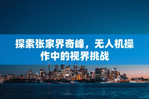 探索张家界奇峰，无人机操作中的视界挑战