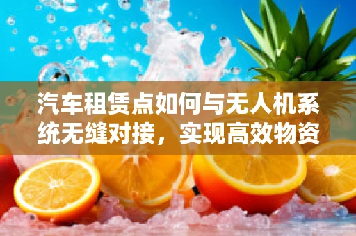 汽车租赁点如何与无人机系统无缝对接，实现高效物资配送？