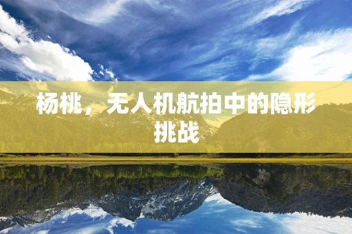 杨桃，无人机航拍中的隐形挑战