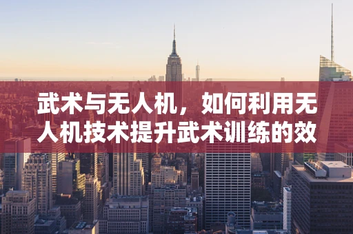 武术与无人机，如何利用无人机技术提升武术训练的效率与安全性？