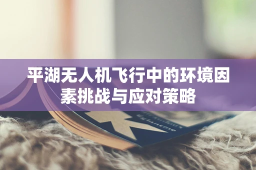 平湖无人机飞行中的环境因素挑战与应对策略