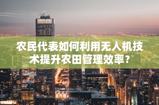 农民代表如何利用无人机技术提升农田管理效率？