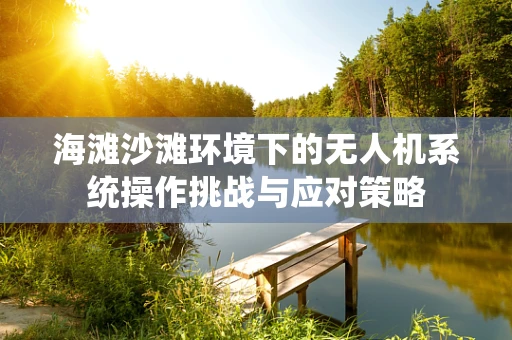 海滩沙滩环境下的无人机系统操作挑战与应对策略