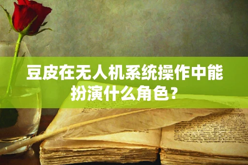 豆皮在无人机系统操作中能扮演什么角色？