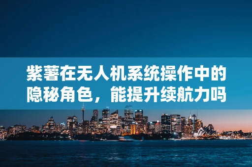 紫薯在无人机系统操作中的隐秘角色，能提升续航力吗？