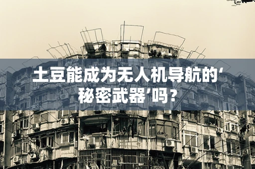 土豆能成为无人机导航的‘秘密武器’吗？