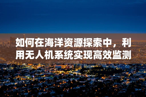 如何在海洋资源探索中，利用无人机系统实现高效监测？