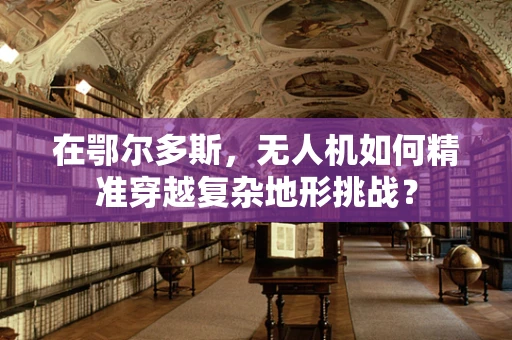 在鄂尔多斯，无人机如何精准穿越复杂地形挑战？