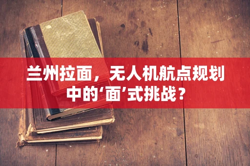 兰州拉面，无人机航点规划中的‘面’式挑战？