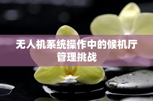 无人机系统操作中的候机厅管理挑战