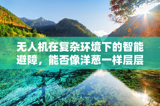 无人机在复杂环境下的智能避障，能否像洋葱一样层层剥离障碍？