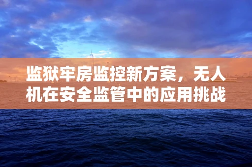 监狱牢房监控新方案，无人机在安全监管中的应用挑战