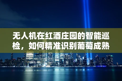 无人机在红酒庄园的智能巡检，如何精准识别葡萄成熟度？