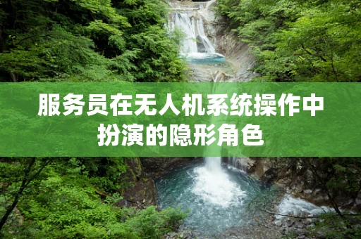 服务员在无人机系统操作中扮演的隐形角色