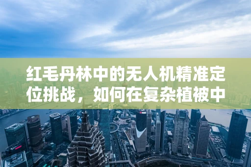 红毛丹林中的无人机精准定位挑战，如何在复杂植被中稳定导航？