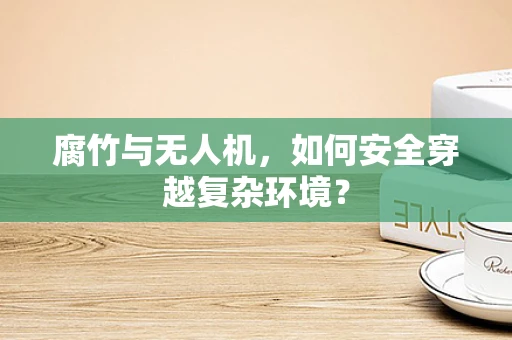 腐竹与无人机，如何安全穿越复杂环境？