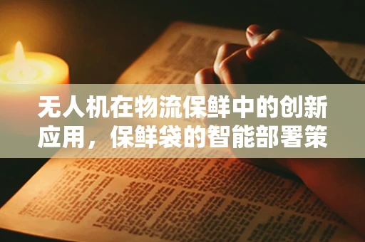 无人机在物流保鲜中的创新应用，保鲜袋的智能部署策略