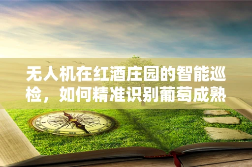 无人机在红酒庄园的智能巡检，如何精准识别葡萄成熟度？