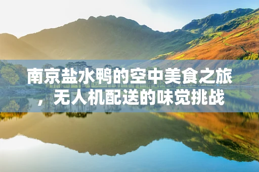 南京盐水鸭的空中美食之旅，无人机配送的味觉挑战