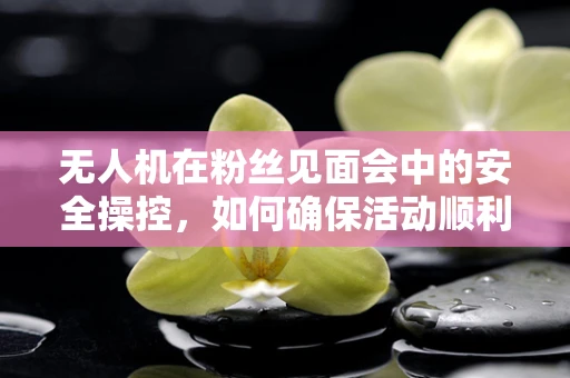 无人机在粉丝见面会中的安全操控，如何确保活动顺利进行？