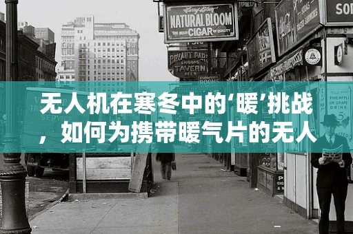 无人机在寒冬中的‘暖’挑战，如何为携带暖气片的无人机提供持续热能？