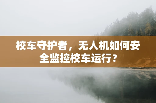 校车守护者，无人机如何安全监控校车运行？