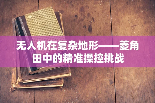 无人机在复杂地形——菱角田中的精准操控挑战