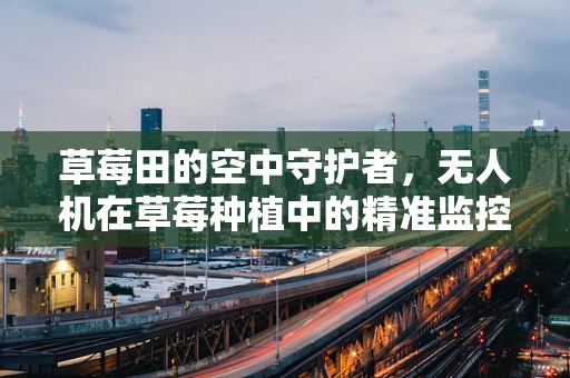 草莓田的空中守护者，无人机在草莓种植中的精准监控挑战