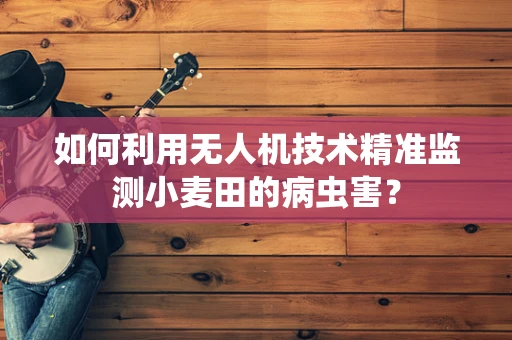 如何利用无人机技术精准监测小麦田的病虫害？