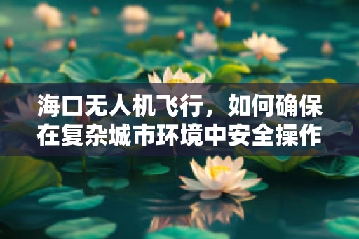 海口无人机飞行，如何确保在复杂城市环境中安全操作？
