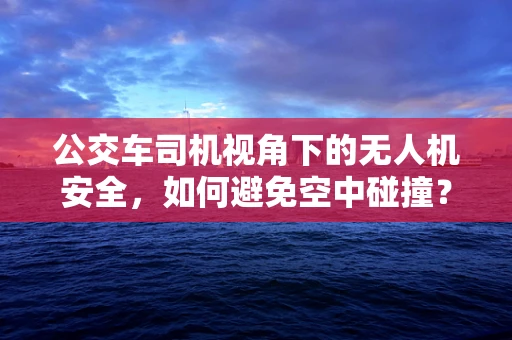 公交车司机视角下的无人机安全，如何避免空中碰撞？