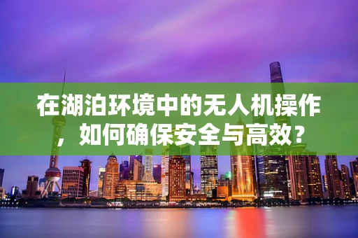 在湖泊环境中的无人机操作，如何确保安全与高效？