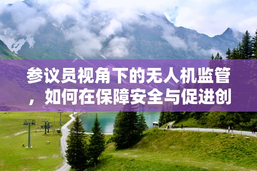 参议员视角下的无人机监管，如何在保障安全与促进创新间找到平衡？