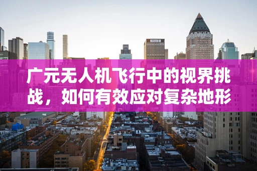 广元无人机飞行中的视界挑战，如何有效应对复杂地形干扰？