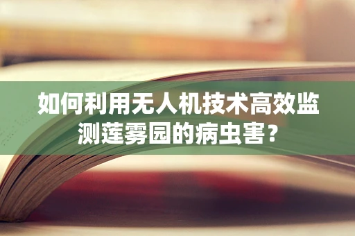 如何利用无人机技术高效监测莲雾园的病虫害？