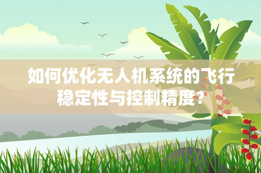 如何优化无人机系统的飞行稳定性与控制精度？