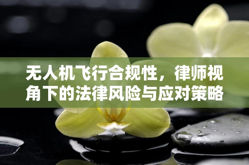 无人机飞行合规性，律师视角下的法律风险与应对策略