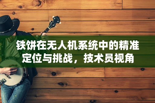 铁饼在无人机系统中的精准定位与挑战，技术员视角