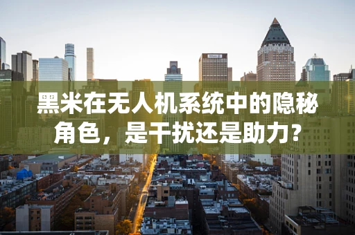 黑米在无人机系统中的隐秘角色，是干扰还是助力？