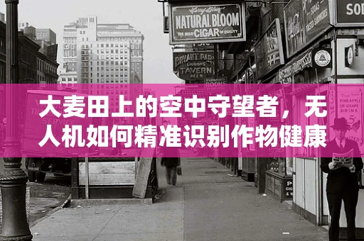 大麦田上的空中守望者，无人机如何精准识别作物健康？