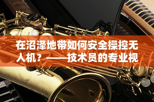 在沼泽地带如何安全操控无人机？——技术员的专业视角