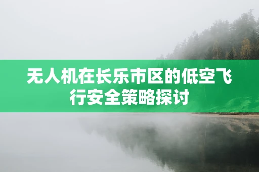 无人机在长乐市区的低空飞行安全策略探讨