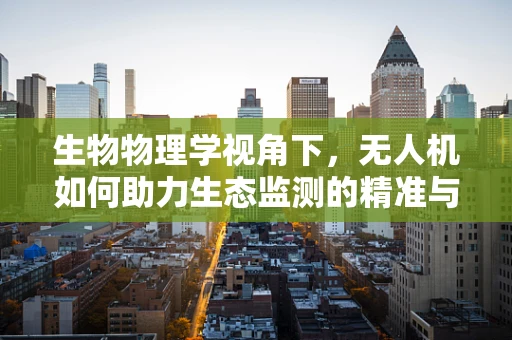 生物物理学视角下，无人机如何助力生态监测的精准与高效？