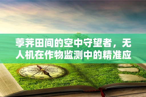 荸荠田间的空中守望者，无人机在作物监测中的精准应用挑战