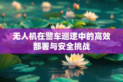 无人机在警车巡逻中的高效部署与安全挑战