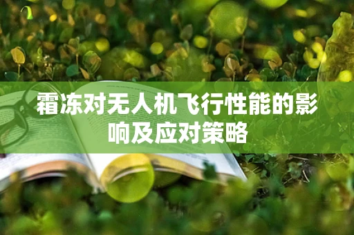 霜冻对无人机飞行性能的影响及应对策略
