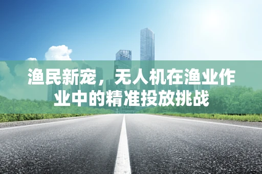 渔民新宠，无人机在渔业作业中的精准投放挑战